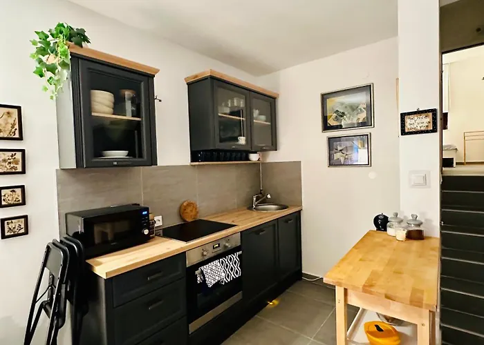Punta Debij Family Apartments 普纳特