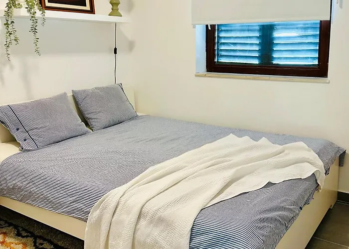 Punta Debij Family Apartments 公寓